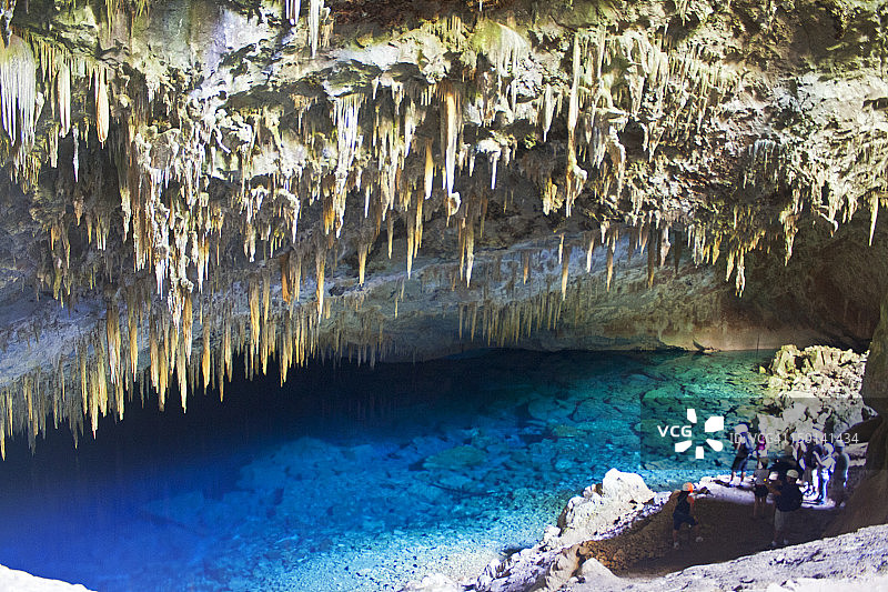 巴西博尼托图片素材