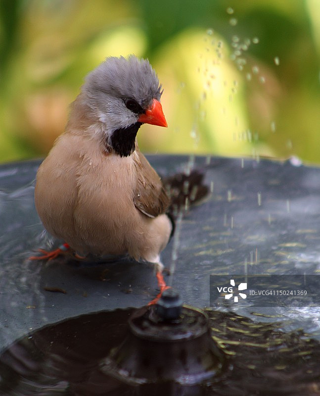 小型淋浴图片素材