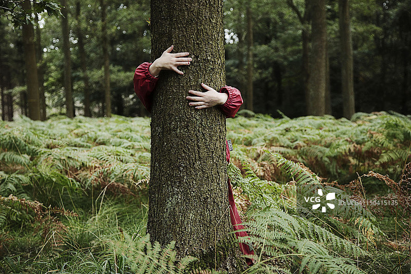 孩子拥抱树木图片素材