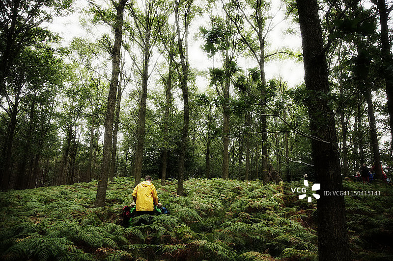 在森林里和孩子们一起散步的成年人图片素材
