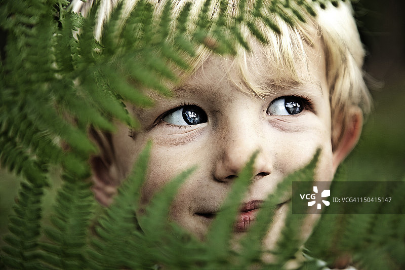 丹麦森林幼儿园里的孩子们图片素材