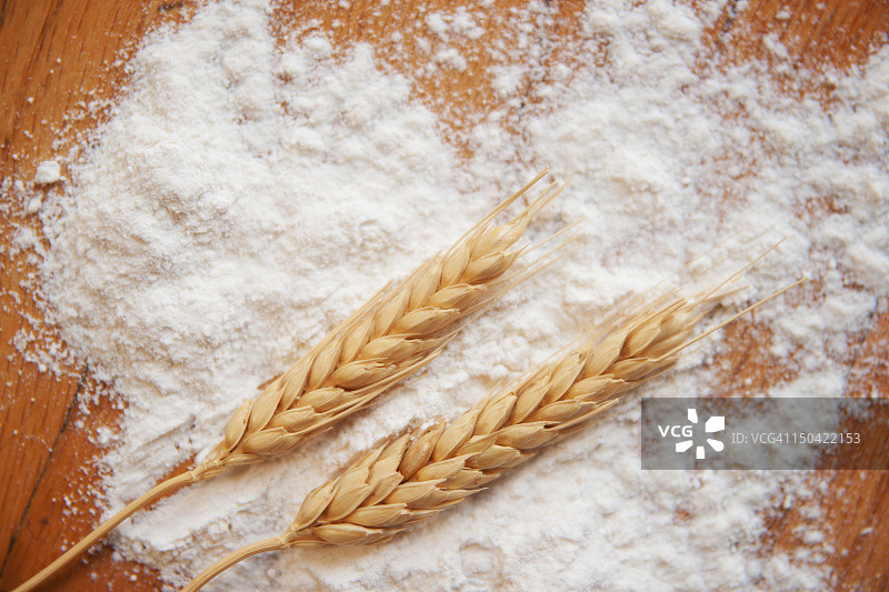 小麦与面粉图片素材