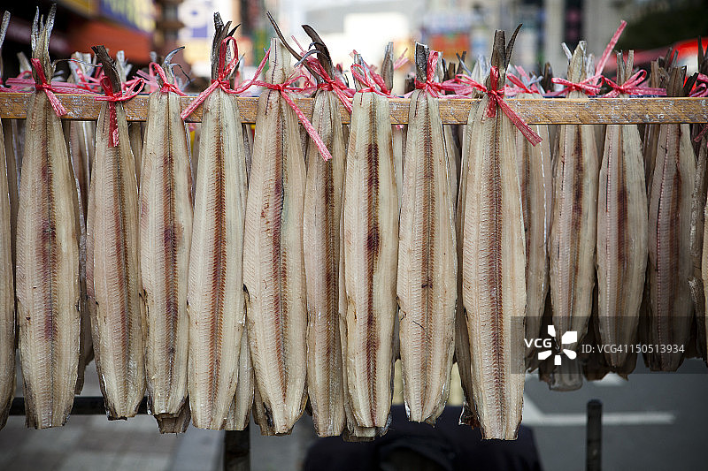 悬挂的鱼图片素材