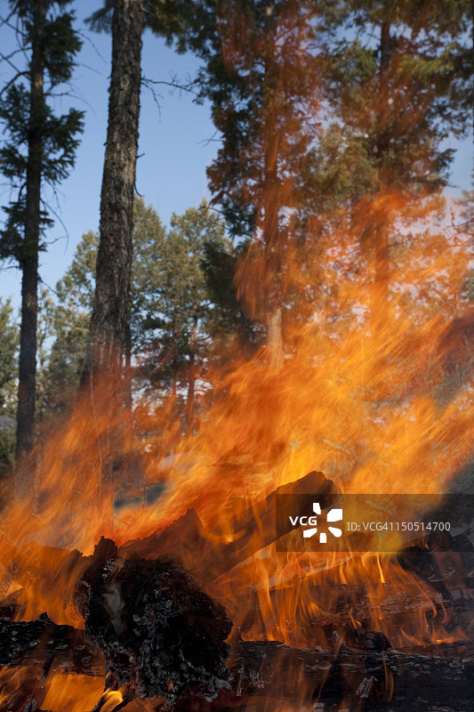 科罗拉多州博尔德市森林火灾图片素材
