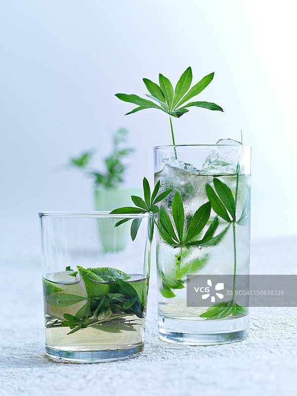 玻璃杯中的草本植物图片素材