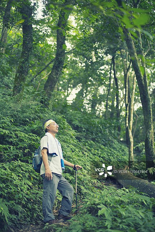 中年男人在美丽的森林中徒步旅行图片素材