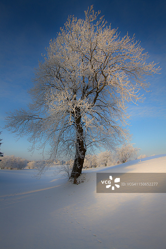 圣诞快乐图片素材