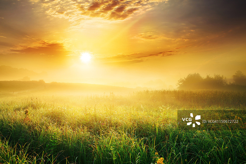 草地上的彩色多雾日出-景观图片素材
