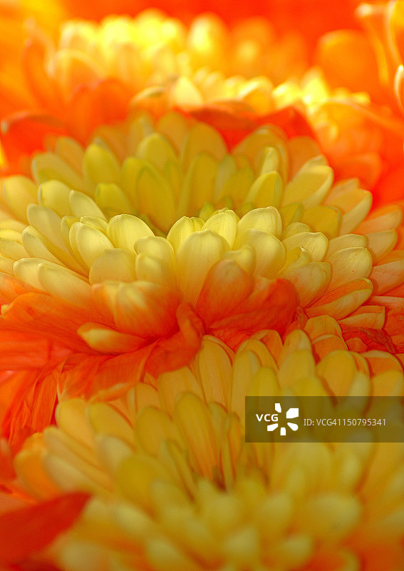 阳光明媚的图片素材