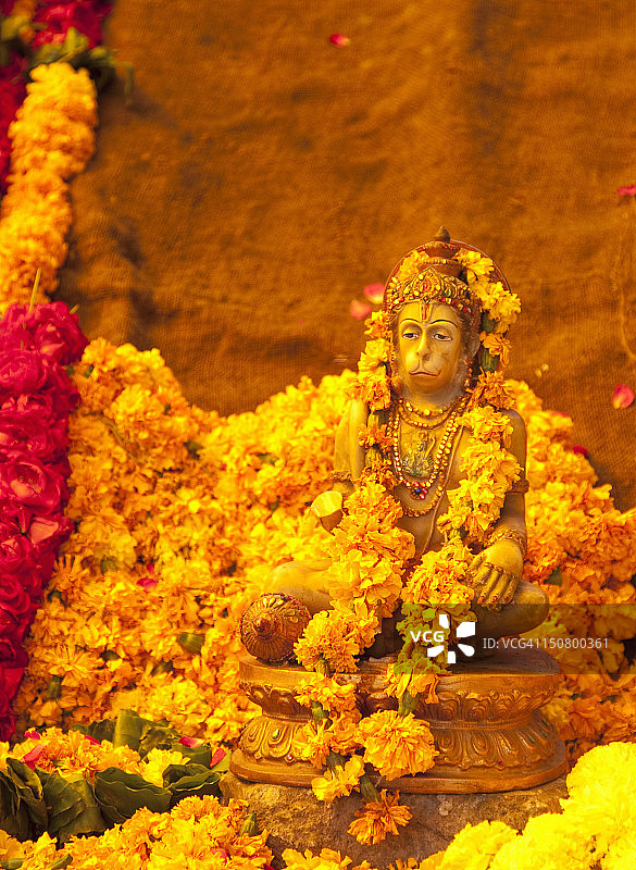 带有鲜花祭品的印度猴神图片素材