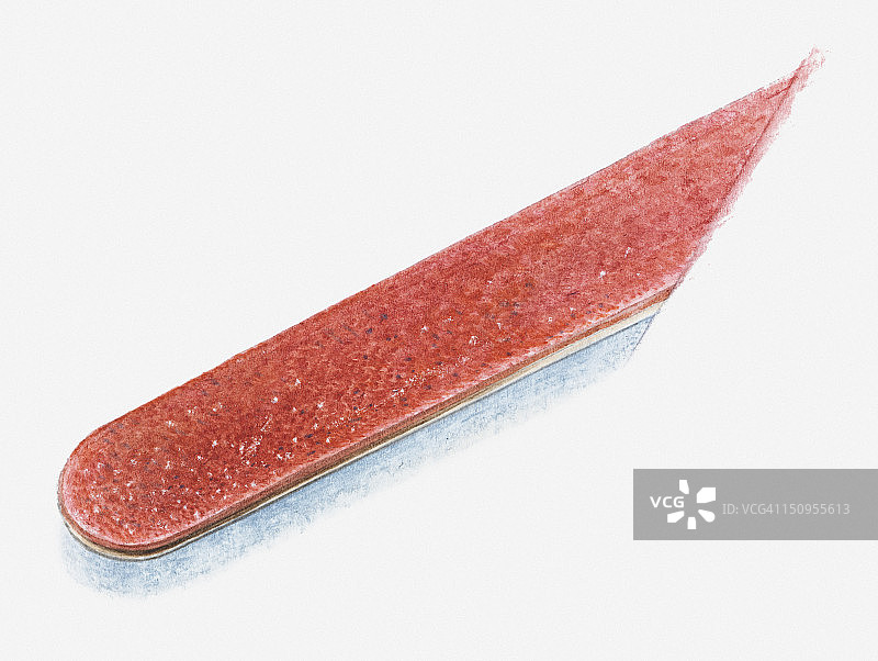 指甲锉特写插图图片素材