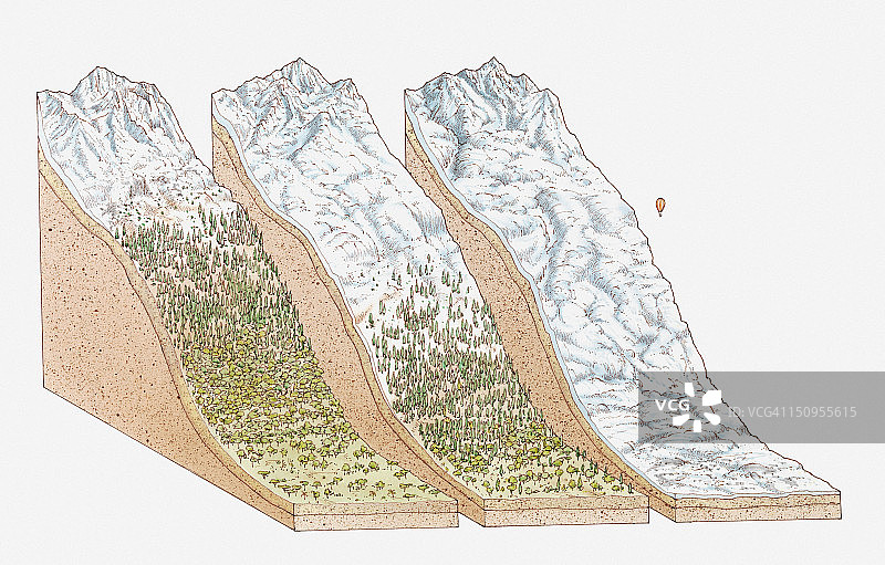 全球雪线插画：赤道（肯尼亚山）、欧洲阿尔卑斯山和极地地区（南极洲文森山）图片素材