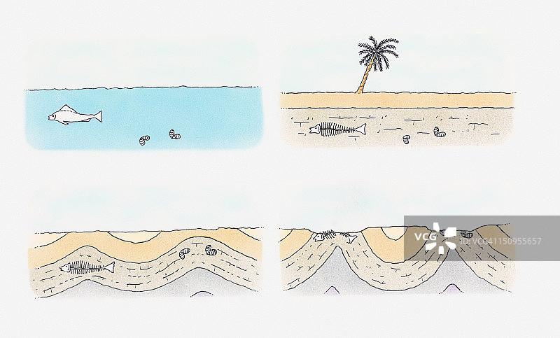 从保存到发现的化石形成过程插画图片素材