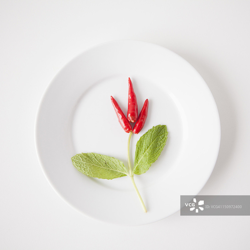 盘中食物花朵摄影棚拍摄图片素材