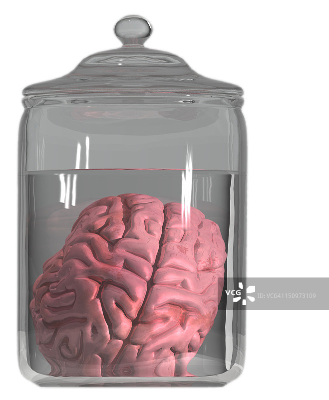 醒酒器中的大脑影棚照图片素材