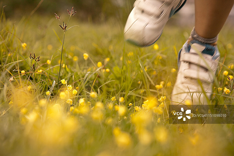 绽放的台阶图片素材