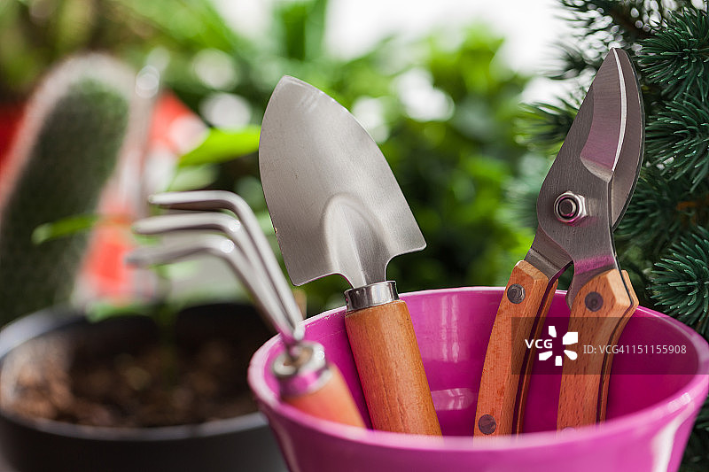 花盆里的园艺工具图片素材