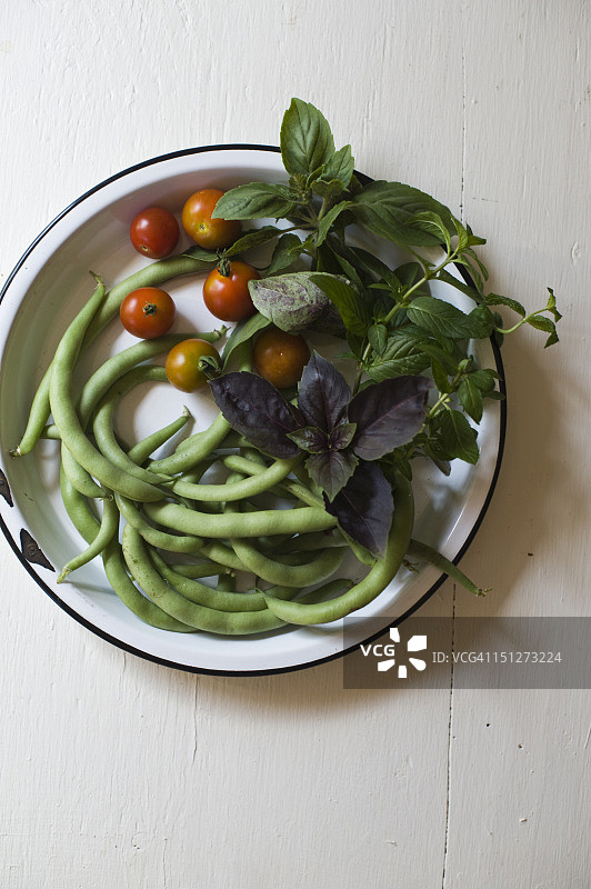 城市花园中收获的蔬菜和草药图片素材