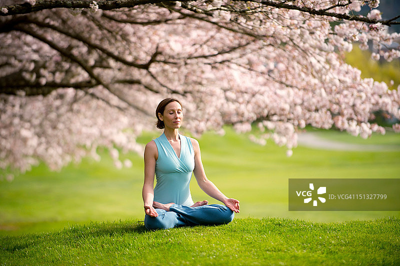 在樱花树下做莲花式的女人图片素材