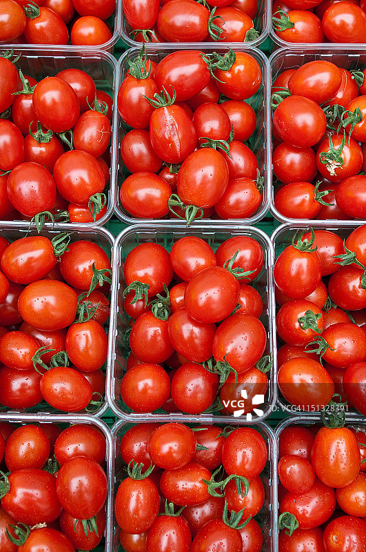 容器中的小李子番茄图片素材