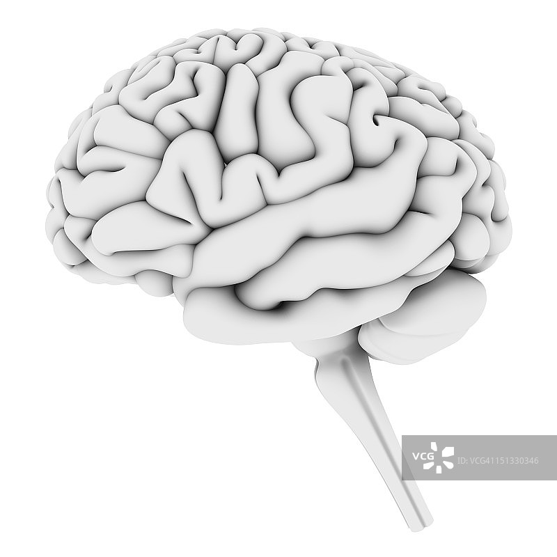 大脑，艺术作品图片素材