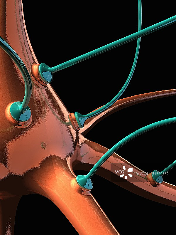 神经元和突触图片素材