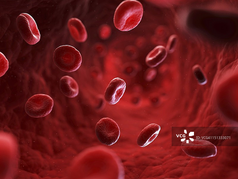 红色血细胞艺术作品图片素材