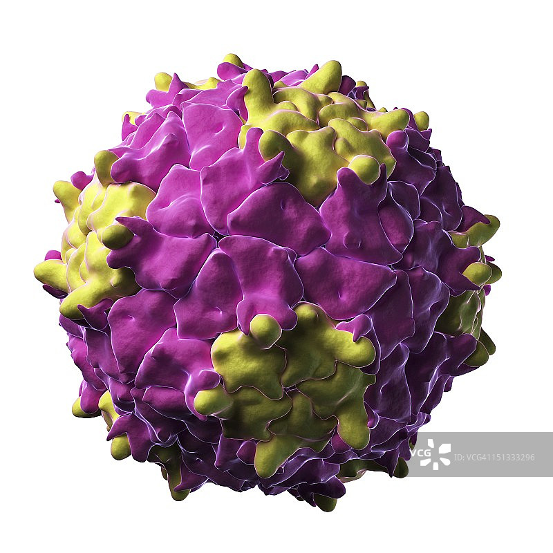 锥蝽病毒颗粒图片素材