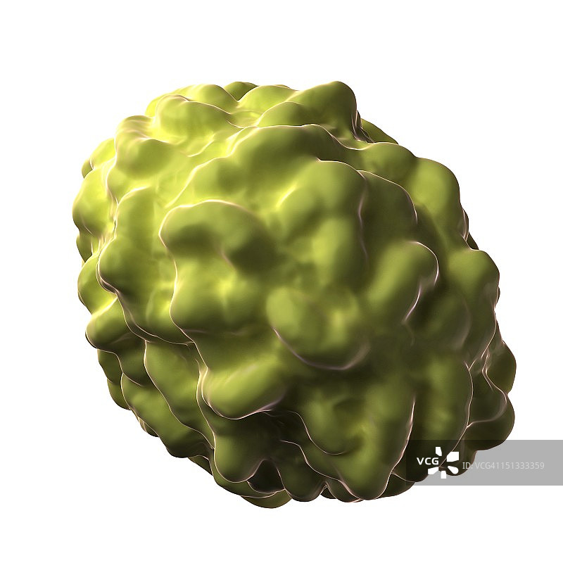 天花病毒颗粒图片素材