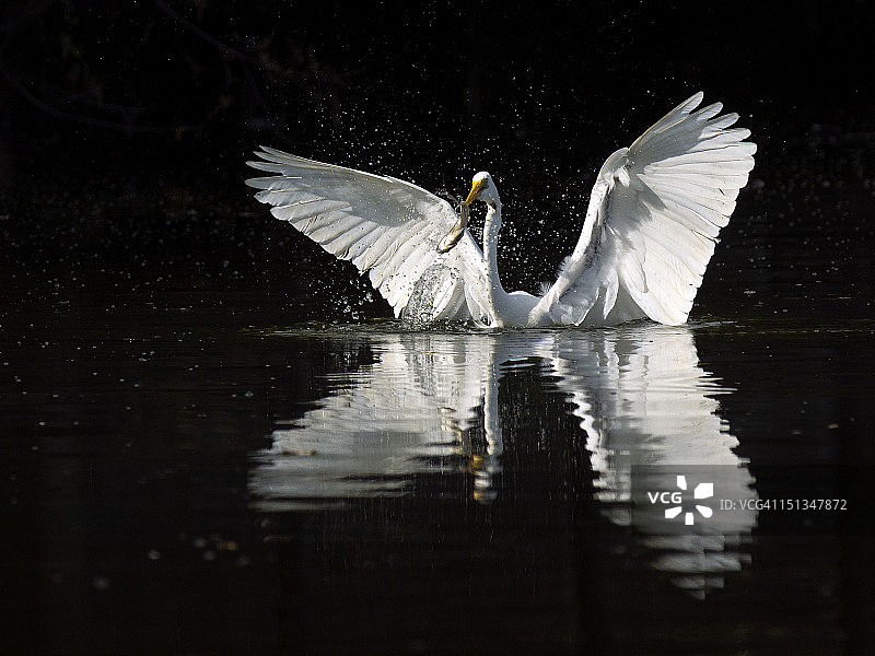 大丰收图片素材