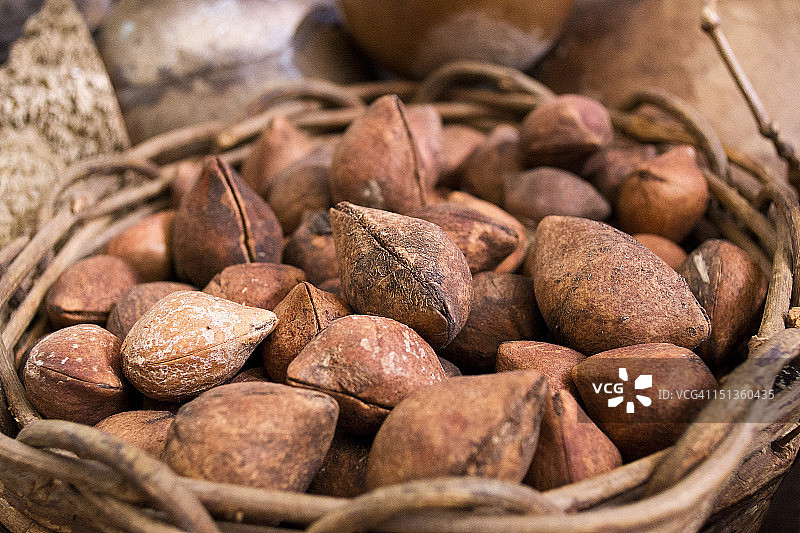 巴西坚果图片素材