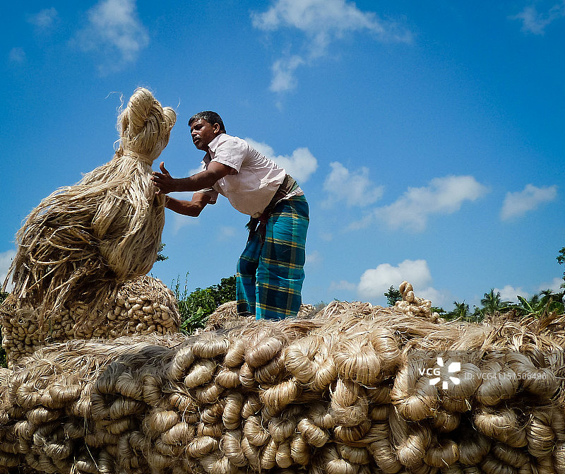 男人和黄麻堆图片素材