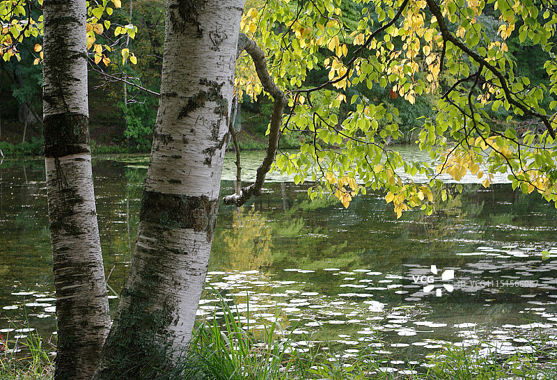湖边的阴凉处图片素材