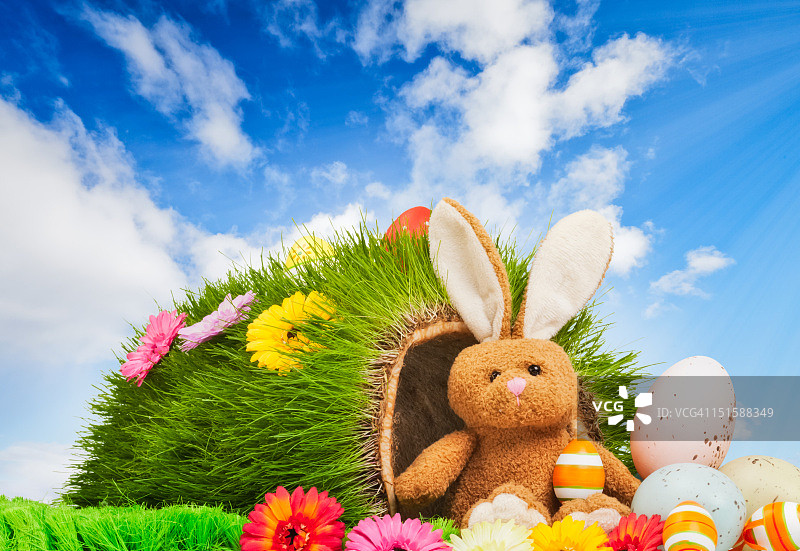 复活节兔子住在哪里图片素材