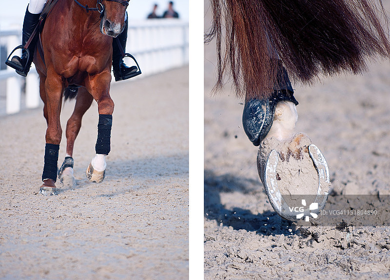 骑手和马蹄铁图片素材