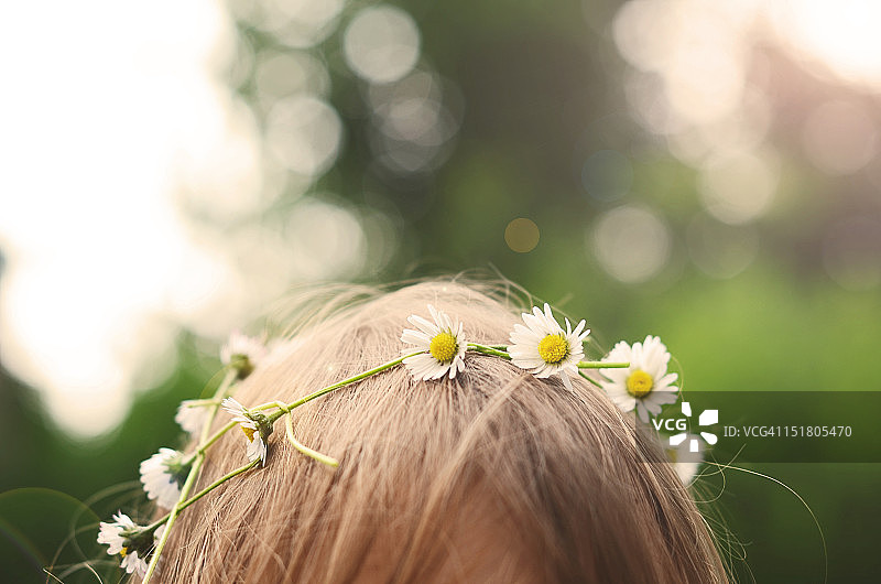 雏菊皇冠图片素材