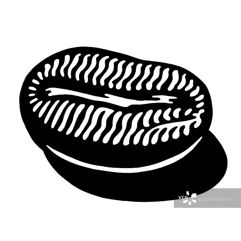 咖啡豆图片素材