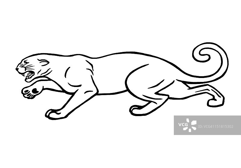 豹子爬行图片素材