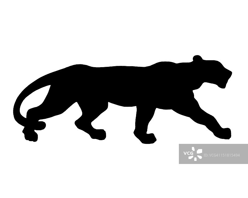 大型猫科动物剪影图片素材
