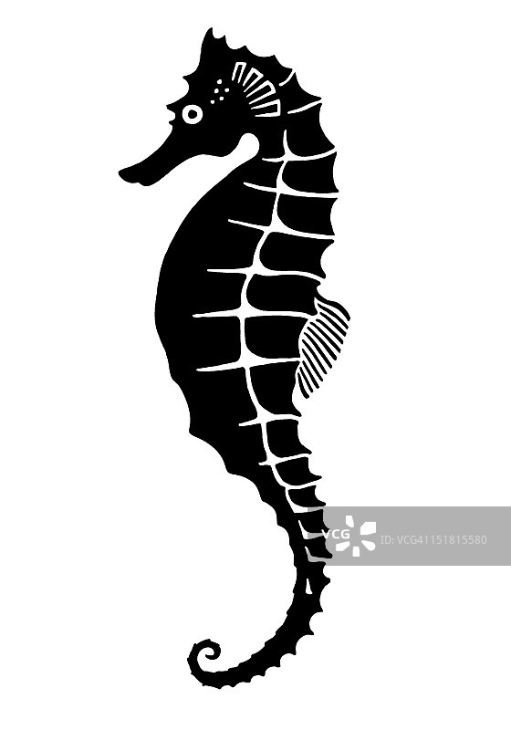 海马图片素材