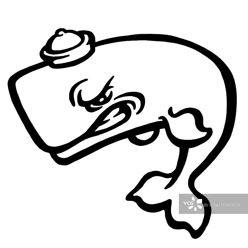 戴帽子的鲸鱼图片素材