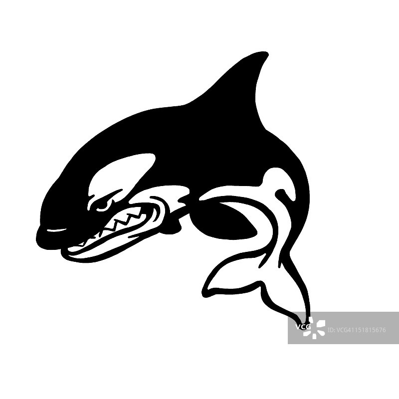 鲨鱼跳跃图片素材