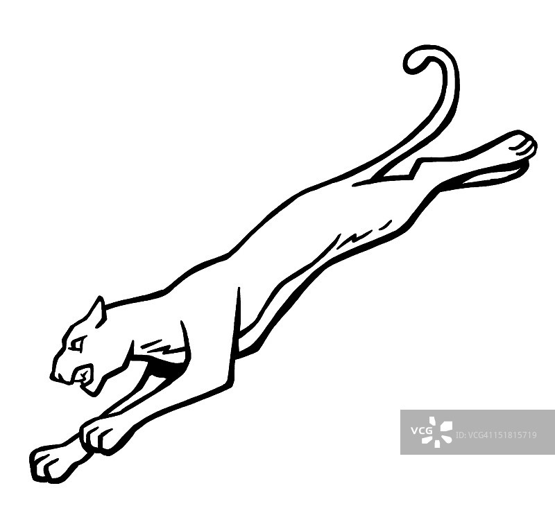 跳跃的猫图片素材