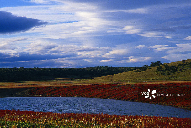 智利纳塔莱斯港的河流图片素材