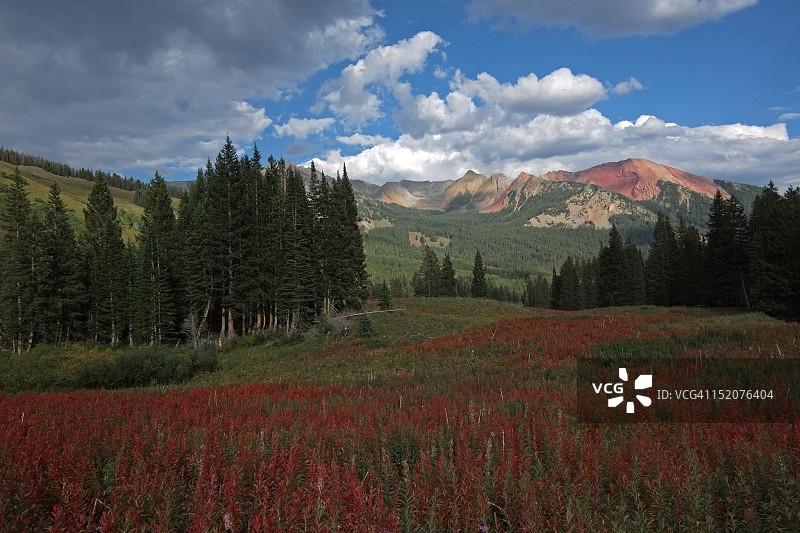 从斯科菲尔德山口拍摄的麋鹿山脉全景图片素材