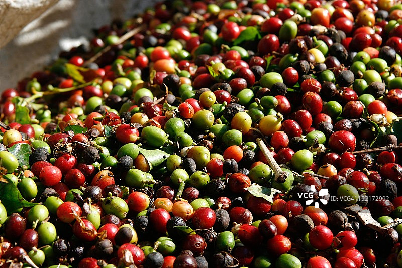 咖啡豆图片素材