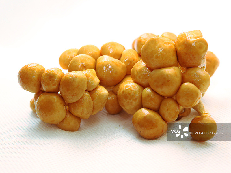 大滑菇图片素材