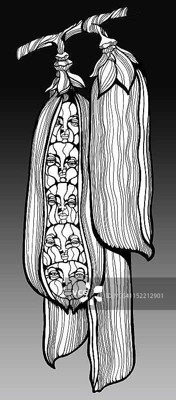 豌豆荚表情图片素材