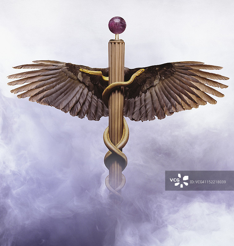 带有两条蛇的蛇杖图片素材