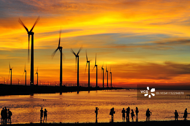 黄金高美湿地图片素材